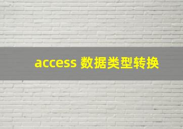 access 数据类型转换